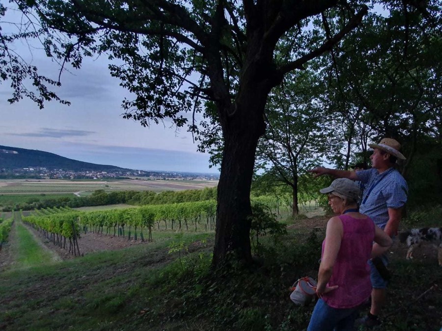 WhatsApp Image 2019-08-17 at 23.00.42